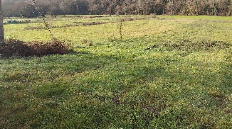 La Coruña - Reboredo de Abaixo - 5300m2