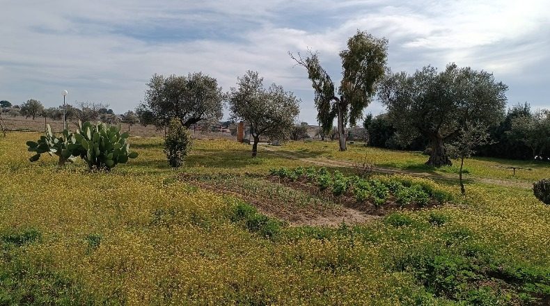 Toledo - Fuensalida - 2000m2