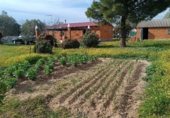 Terreny amb magatzem en venda a la ARAGON 13, Fuensalida, ref.: TR214753 foto