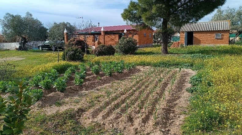 Toledo - Fuensalida - 2000m2