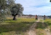 Terreny amb magatzem en venda a la ARAGON 13, Fuensalida, ref.: TR214753 foto