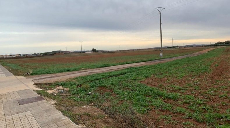 Ciudad Real - Miguelturra - 62390m2