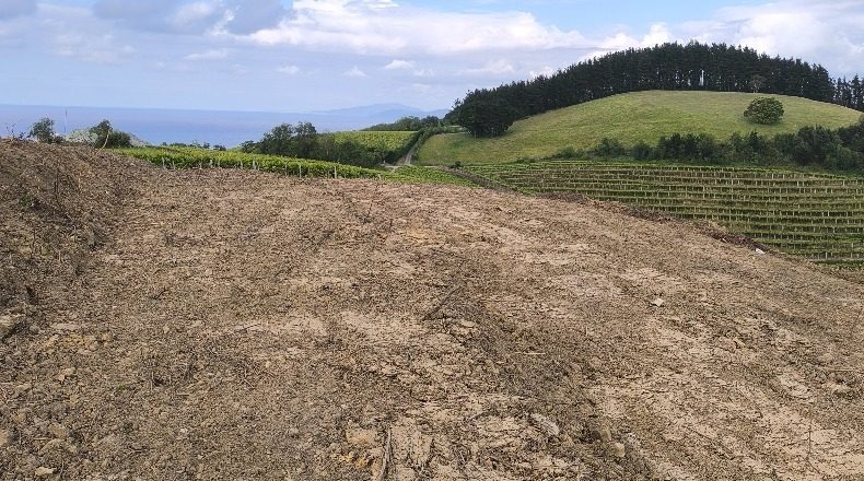 Guipúzcoa - Guetaria - 33000m2