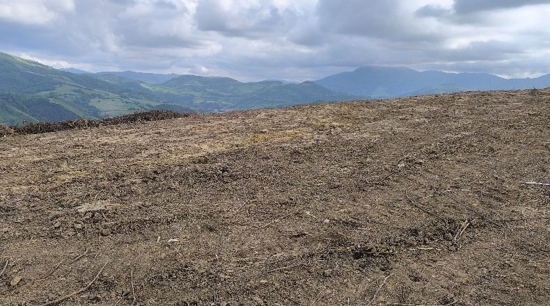 Guipúzcoa - Guetaria - 33000m2