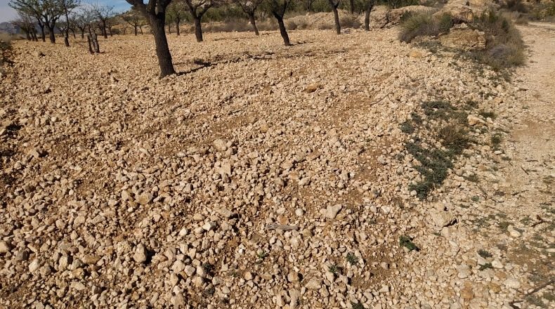Murcia - Abanilla - 1690m2