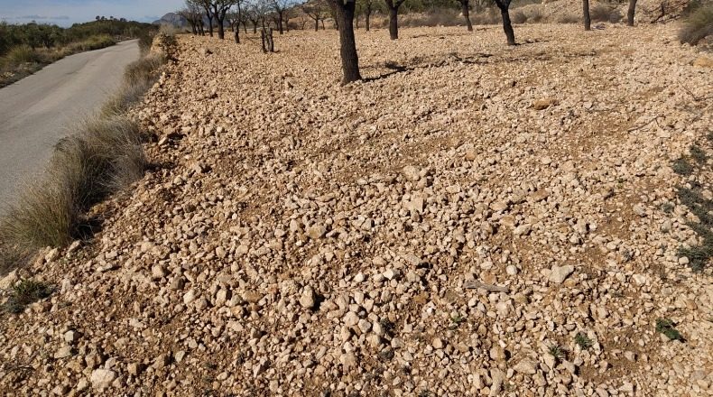 Murcia - Abanilla - 1690m2