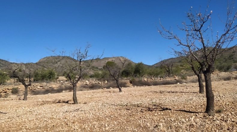 Murcia - Abanilla - 1690m2