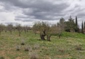 Casa de campo con terreno en venta en la Cortijo de Pareja, Caravaca de la Cruz, ref: TR231102 foto