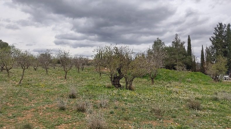 Murcia - Каравака де ла Крус - 12500m2