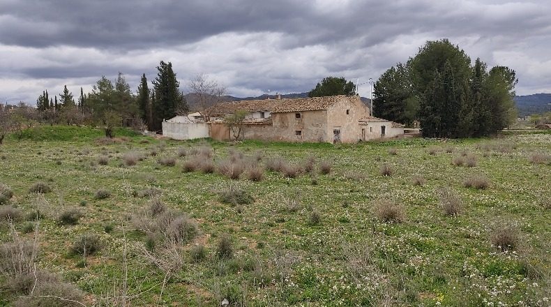 Murcia - Каравака де ла Крус - 12500m2