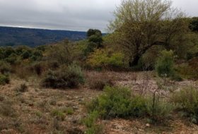 Loranca de Tajuña 10110&nbsp;м²