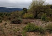 Non-developable land for sale on CABEZA GORDA, Loranca de Tajuña, ref: TR231188 photo