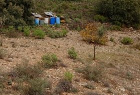 Loranca de Tajuña 10110&nbsp;м²