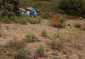 Non-developable land for sale on CABEZA GORDA, Loranca de Tajuña, ref: TR231188 photo
