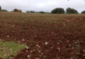 Non-developable land for sale on CABEZA GORDA, Loranca de Tajuña, ref: TR231188 photo