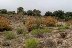Loranca de Tajuña 10110&nbsp;м²