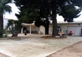 Casa de campo con terreno en venta en la Carretera Mos del Bou - La Murada, Orihuela, ref: TR231192 foto
