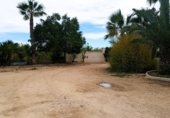 Casa de campo con terreno en venta en la Carretera Mos del Bou - La Murada, Orihuela, ref: TR231192 foto