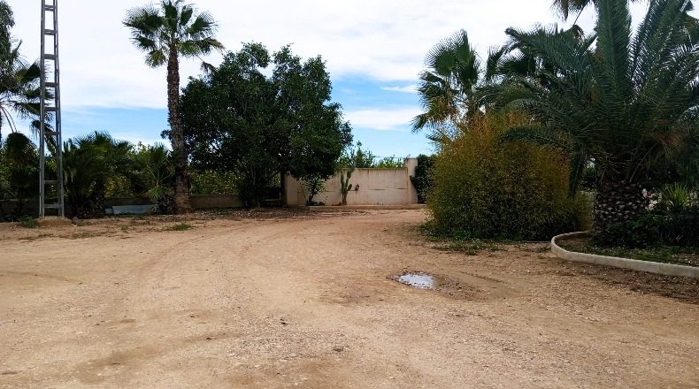 Alicante - Orihuela - 5850m2