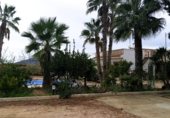 Casa de campo con terreno en venta en la Carretera Mos del Bou - La Murada, Orihuela, ref: TR231192 foto