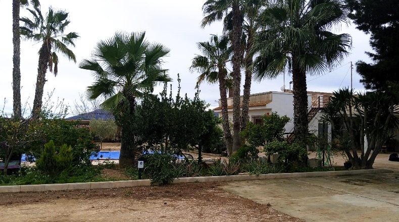 Alicante - Orihuela - 5850m2