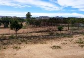 Casa de campo con terreno en venta en la Carretera Mos del Bou - La Murada, Orihuela, ref: TR231192 foto