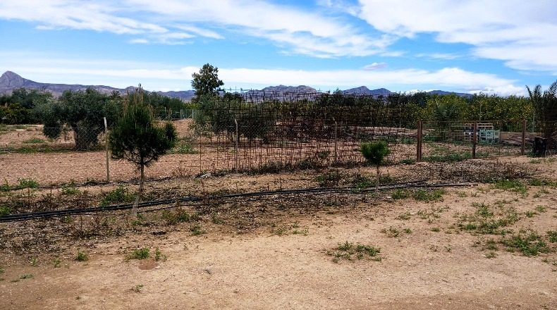 Alicante - Orihuela - 5850m2