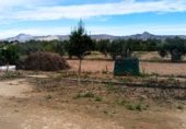 Casa de campo con terreno en venta en la Carretera Mos del Bou - La Murada, Orihuela, ref: TR231192 foto