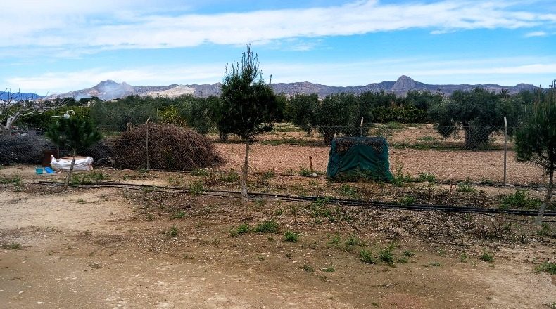Alicante - Orihuela - 5850m2