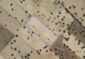 Non-developable land for sale on 40.70308541412511, Pelayos, ref: TR231262 photo