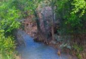 Non-developable land for sale on Aldea. Arroyo Molinos, Hinojares, ref: TR111371 photo
