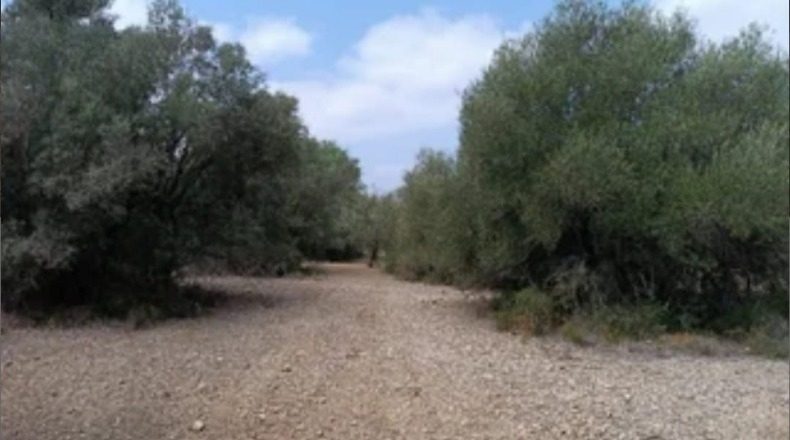 Tarragona - els Reguers - 24000m2