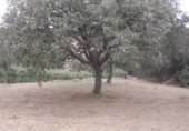 Sòl urbà en venda a la Calle Fuente, El Casar de Escalona, ref.: TR231325 foto