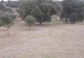 Sòl urbà en venda a la Calle Fuente, El Casar de Escalona, ref.: TR231325 foto