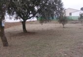 Sòl urbà en venda a la Calle Fuente, El Casar de Escalona, ref.: TR231325 foto