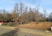 Parcela urbanizable en venta en la Carretera del Campo de Golf, Valverde de la Virgen, ref: TR231333 foto