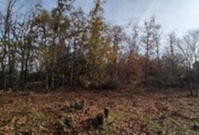 Valverde de la Virgen 691&nbsp;m² 