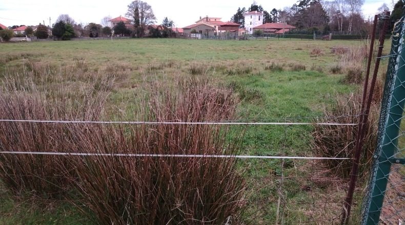 Asturias - Lamuño - 2300m2