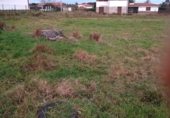 Parcel·la urbanitzable en venda a la Carretera Artedo - Soto de Luiña, Lamuño, ref.: TR231338 foto