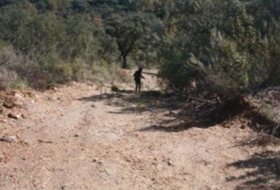 El Ronquillo 1000&nbsp;m² 