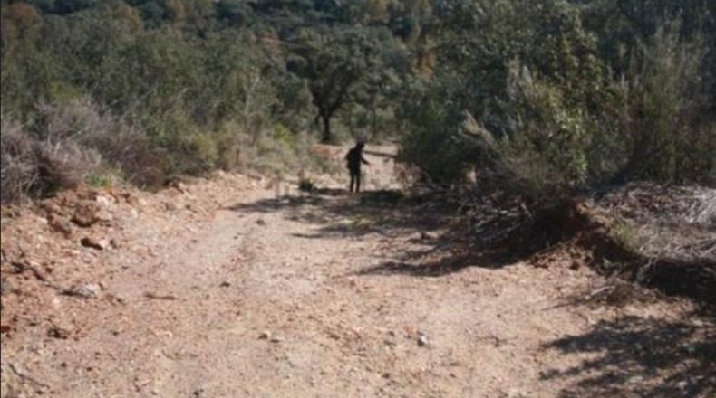 Seville - El Ronquillo - 1000m2