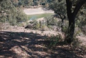 El Ronquillo 1000&nbsp;m² 