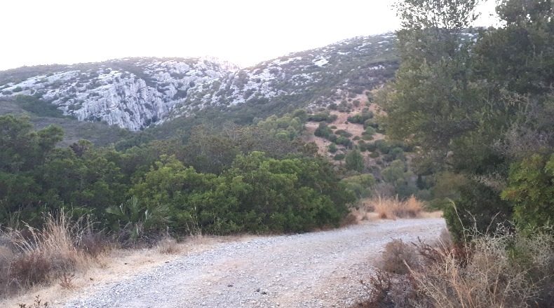 Málaga - Casares - 112000m2