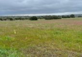 Parcel·la urbanitzable en venda a la Polígono 79 Parcela 5 TORILEJOS., Fuente Obejuna, ref.: TR231183 foto