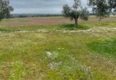 Parcel·la urbanitzable en venda a la Polígono 79 Parcela 5 TORILEJOS., Fuente Obejuna, ref.: TR231183 foto