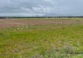 Parcel·la urbanitzable en venda a la Polígono 79 Parcela 5 TORILEJOS., Fuente Obejuna, ref.: TR231183 foto