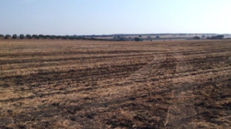 Badajoz - Badajoz - 930000m2