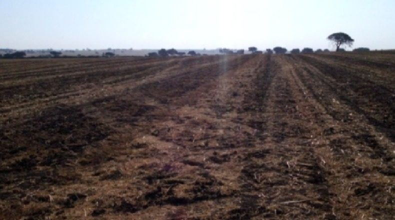 Badajoz - Badajoz - 930000m2
