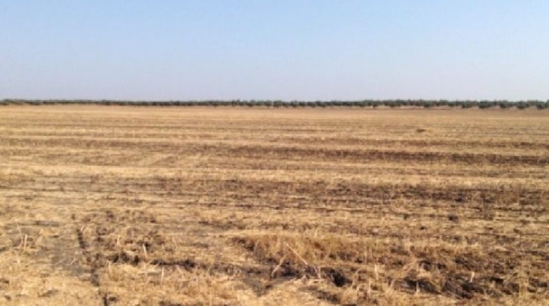 Badajoz - Badajoz - 930000m2