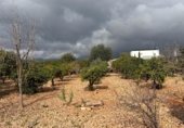Urban land for sale on carrer Tamarell, Marratxinet, ref: TR231557 photo